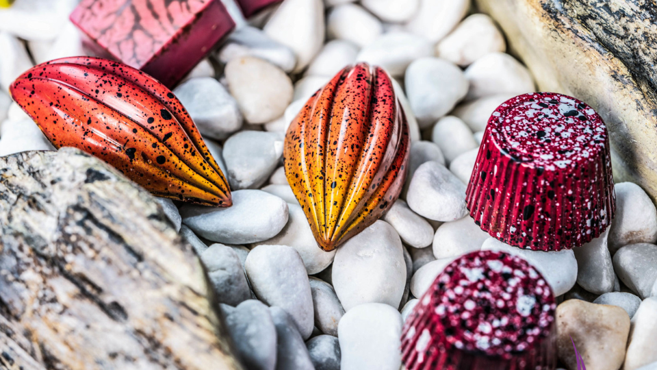 Chocolate Raspberry Bonbons - Original Beans